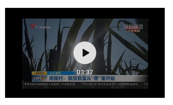 3044永利集团官网